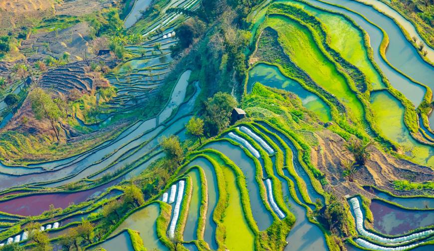 宝妈必备神器：蕲春县产品视频拍摄轻松育儿好帮手