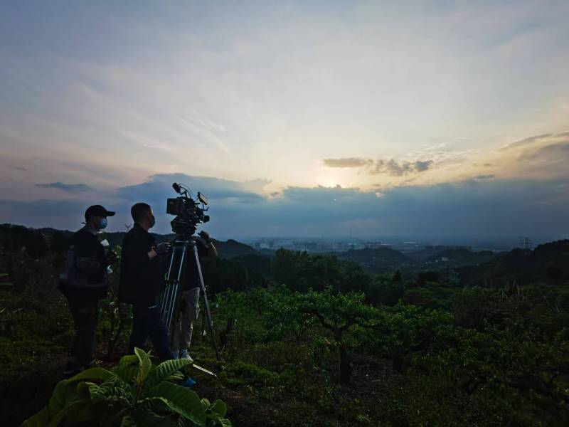 聚焦蕲春县产品宣传视频拍摄公司，用专业实力铸就品牌传播传奇