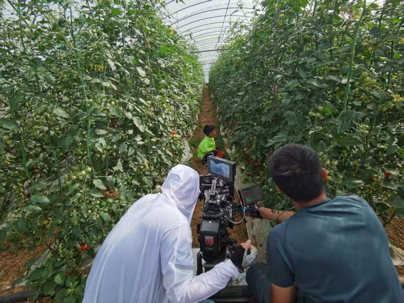 蕲春县产品宣传视频拍摄公司进阶指南，助力品牌抢占传播高地